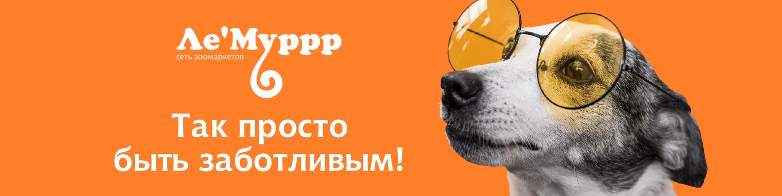 Лемуррр Интернет Магазин Зоотоваров Нижний Новгород Лемуррр Интернет Магазин Зоотоваров Нижний Новгород