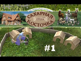 Отель для животных/Симулятор отеля #1 “Первый клиент“