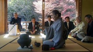 Tsuruko’s Tea Journey