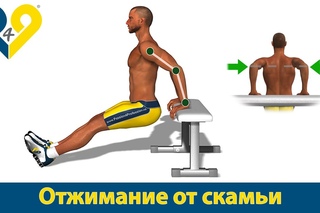 Как накачать трицепс: Отжимания от скамьи