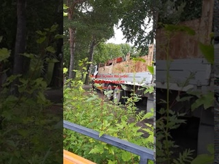 Безобразие в парке города Заозёрного
