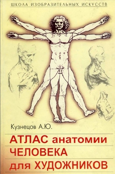 Кузнецов А.Ю Атлас анатомии человека для художников. Стивен Роджерс Пек Атлас анатомии человека для художниковВ учебных пособиях представлена обширная информация об анатомии человеческого тела