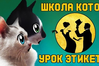 ШКОЛА КОТОВ УРОК ХОРОШИХ МАНЕР для Кошечки МУРКИ! Кот Малыш  и КОШАЧЬЯ СЕМЬЯ  НА СОБРАНИИ !