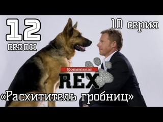 Комиссар Рекс, 12 сезон, 10 серия «Расхититель гробниц»