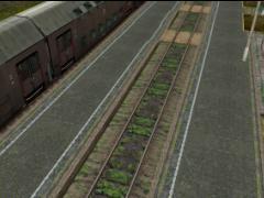 082: Platform Wierzchucin w/two lines (0,30-4.5m) end1