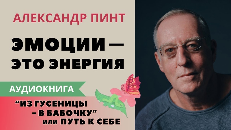 Ищи понимание в глубине сердца. Из гусеницы в бабочку.