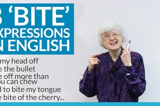 8 Expressions using BITE in English
