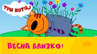 Три кота | Сборник весенних серий 🌸  |  СТС Kids