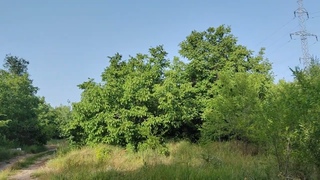 Средние волны на природе  Кишинев. 18:30. XHDATA D 808.