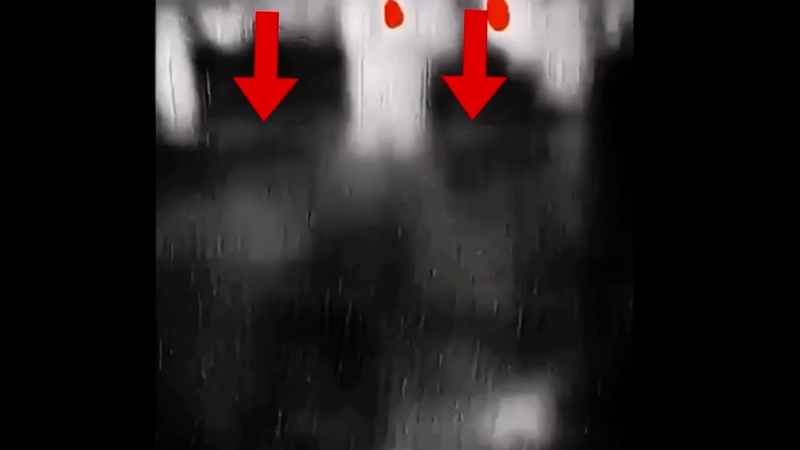 These Scary Vids Left Me Shocked