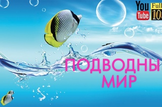 15 мин 🎵852 Гц 🎵Лучшая Лаунж Музыка для Релакса 🎵Спокойная Эмбиент Мелодия на К ...