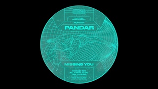 Pandar - Missing You