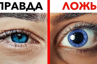 КАК ЧИТАТЬ ЯЗЫК ТЕЛА? 13 СЕКРЕТОВ