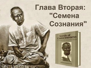 Нисаргадатта Махарадж - Ультиматум Нисаргадатты 2