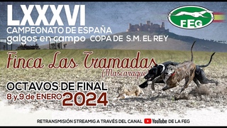 Primera Jornada  Octavos  LXXXVI  Campeonato de España Galgos en Campo COPA DE S,M, EL REY