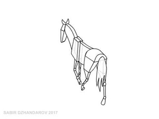 Animation of gait of a horse.