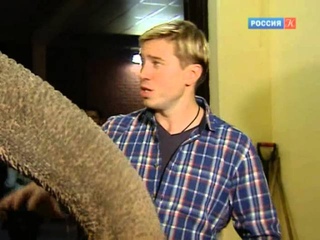 Праздничное представление в честь юбилея “Росгосцирка“