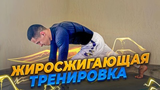 10 Минут Утренней Тренировки в Домашних Условиях (Без Оборудования)