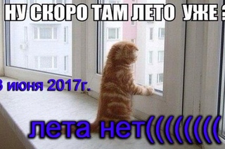 Тепло ты где? Лето заблудилось ......Ужас... +3!!!!!!! 3 июня 2017год.