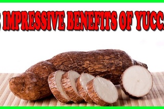 5 Impressive Health Benefits Of Yucca You Were Not Aware Of | Best Home Remedies