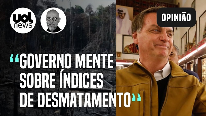 Cara de pau de Bolsonaro é a única área livre de devastação no Brasil, Josias de