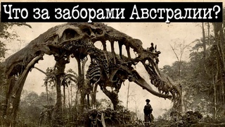 Что на самом деле находится за забором Австралии История Евразии.