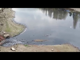 Слив нечистот в р.Кубань , Краснодар , “Затон“