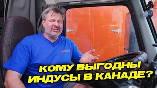 Кому выгодный гастарбайтеры индусы в северной Америке.