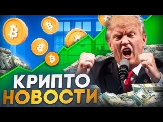 Крипто Новости: борьба с киберпреступлениями, выборы и биткоин-прогнозы, максимум сложности майнинга