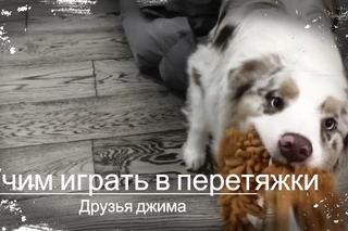 Учимся играть в перетяжки