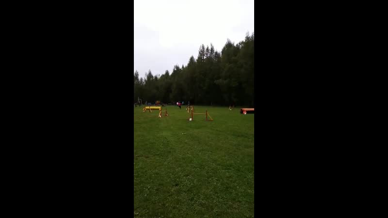 Соревнования