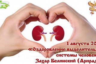 Оздоровление выделительной системы человека. Часть 1