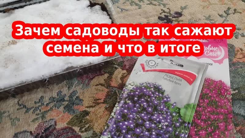 Несомненно отличный способ посева семян на