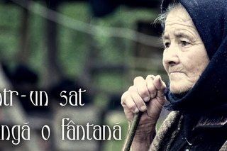 Calin Crisan - Intr-un sat langa o fantana