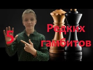 5 редких гамбитов! Как побеждать в шахматах?