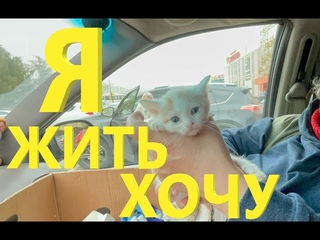 Я жить хочу/I want to live
