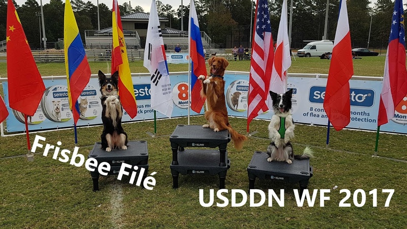 Frisbee Toller Filé USDDN WF