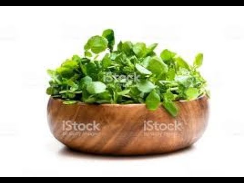 El berro tiene propiedades medicinales muy beneficiosas para la salud digestiva y