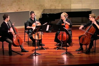 Bad Romance- Cello Street Quartet