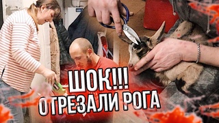 ЛУЧШЕ НЕ СМОТРЕТЬ НА ЭТО!!!🤦‍♀️ ВПЕРВЫЕ ЗАНИМАЮСЬ ЭТИМ....