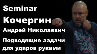 Seminar 48: Кочергин Андрей Николаевич Подводящие задачи для ударов руками полное видео