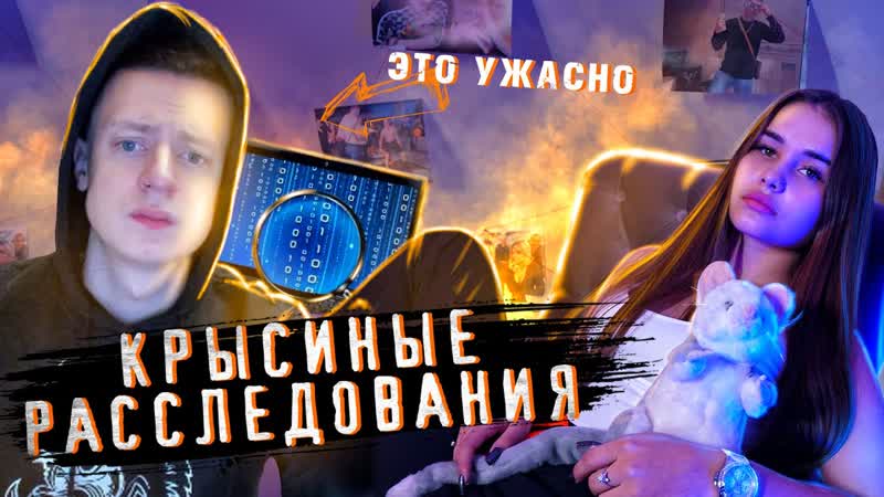 Крысиные расследования,
