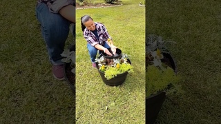 Floating Fountain DIY#shorts#jardinagem #garden #diy #fyp