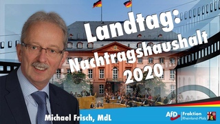 Michael Frisch (AfD): Verfassungswidrig?! Der Schattenhaushalt der Altparteien!