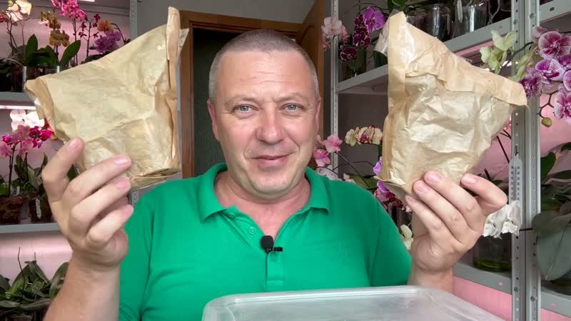 посылка НОВЫХ орхидей, , обзор 2 губастые и 4 ароматные