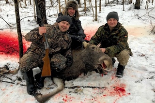 Охота на Лося Без Цензуры. Elk Hunting