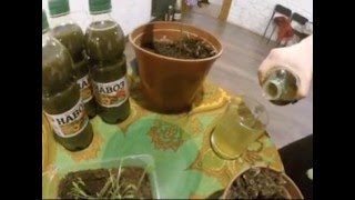 Экоуроки в Челябинске