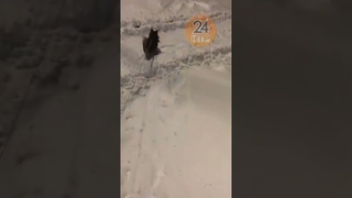Специалистам приходится нелегко, отмечают нижнекамцы