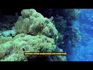 Adventures  in  Thailand  Outdoor  Activities