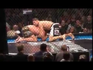 Brendan Schaub vs. Alex Rozman